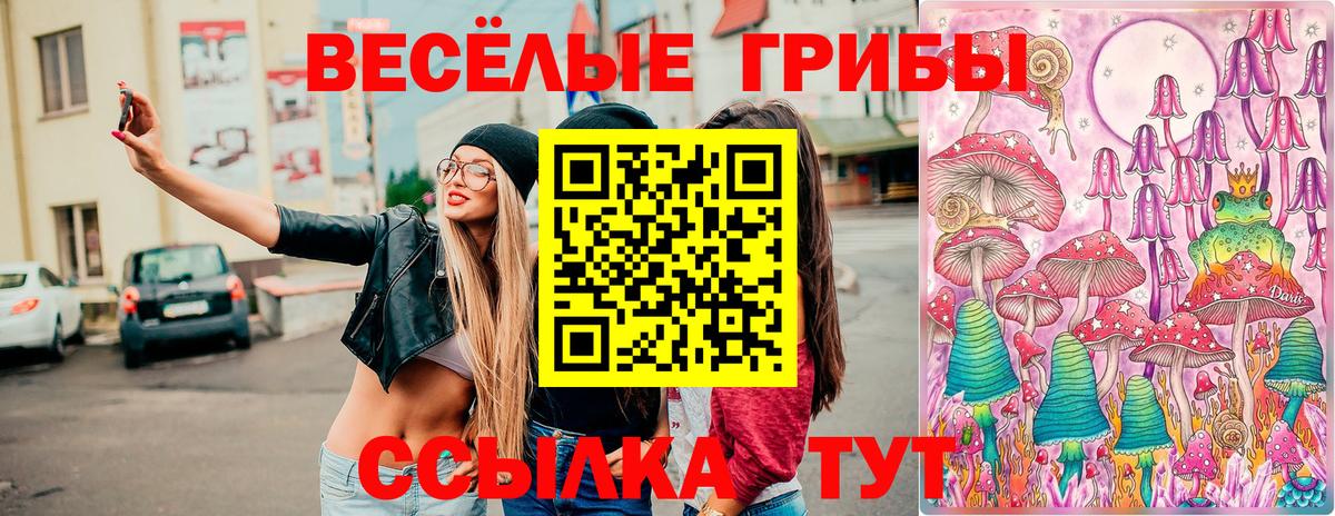 Псилоцибиновые грибы мухоморы  Вход с VPN  Кашира 