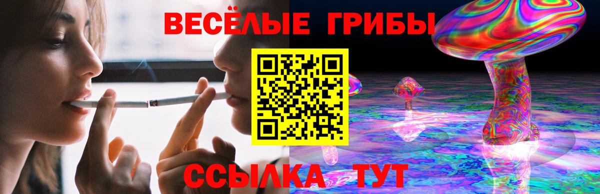 Галлюциногенные грибы мухоморы Кашира